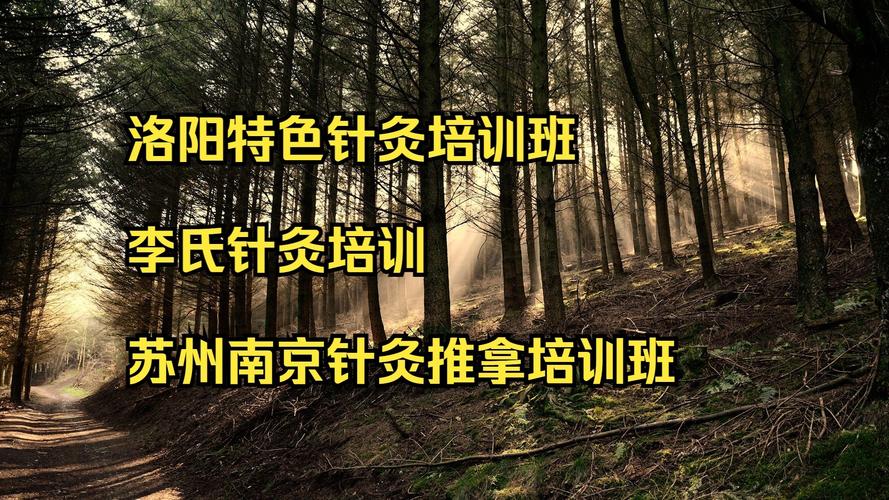 洛阳特色针灸培训班