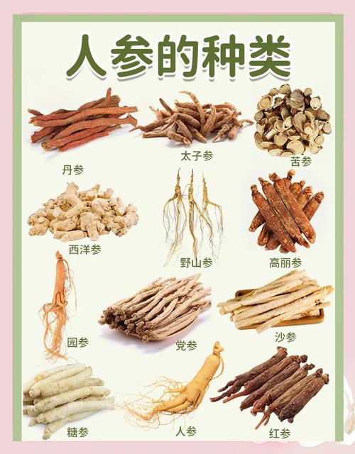痛风病人能吃人参吗