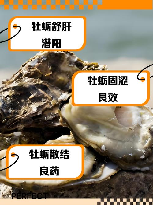 痛风可以吃生蚝精吗