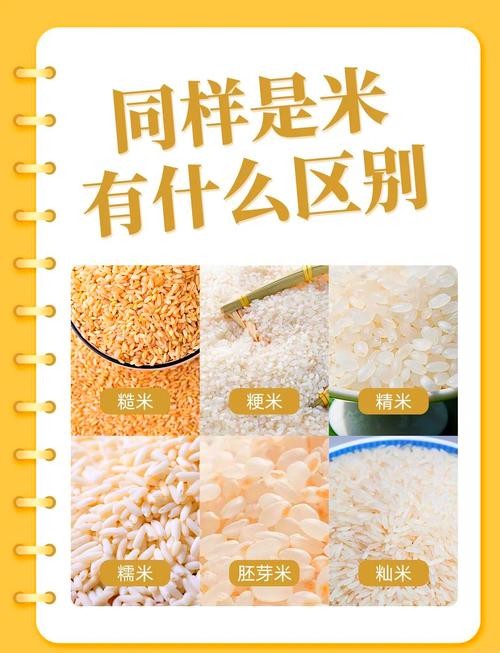 有痛风可以吃梗米吗