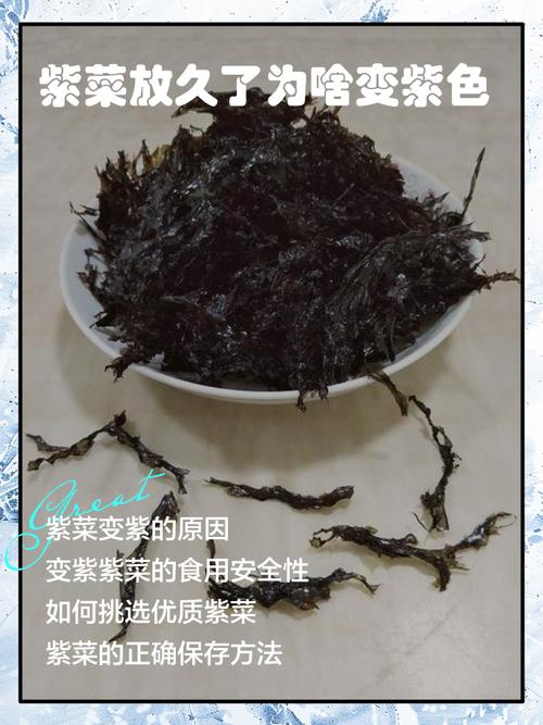 痛风紫球菜可以吃吗