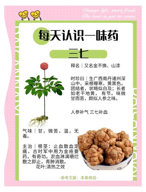 三七对痛风有作用吗