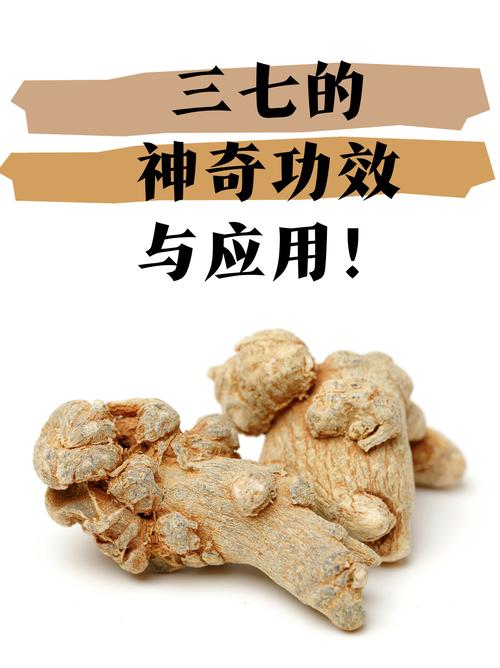 三七对痛风有作用吗