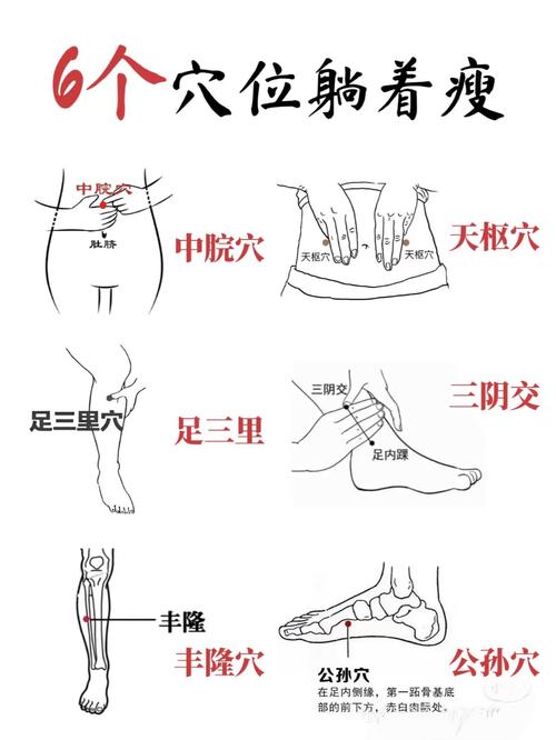 针灸减肥的穴位在哪