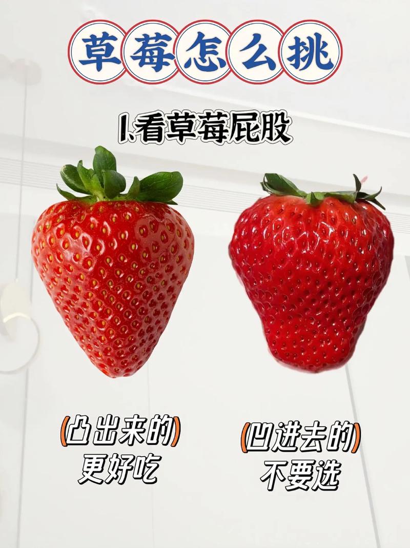 情侣安全种草莓的技巧