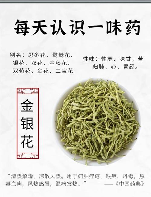 痛风吃金银花甘草丸