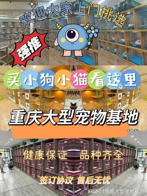 重庆哪里买狗狗最安全