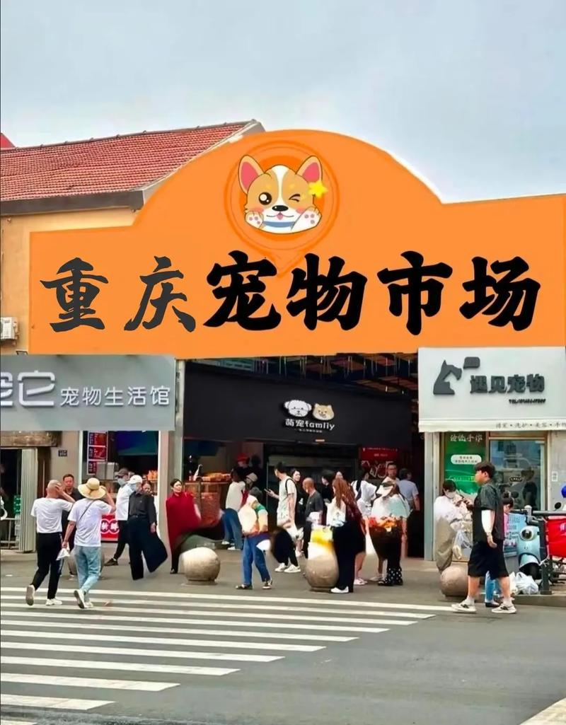 重庆哪里买狗狗最安全