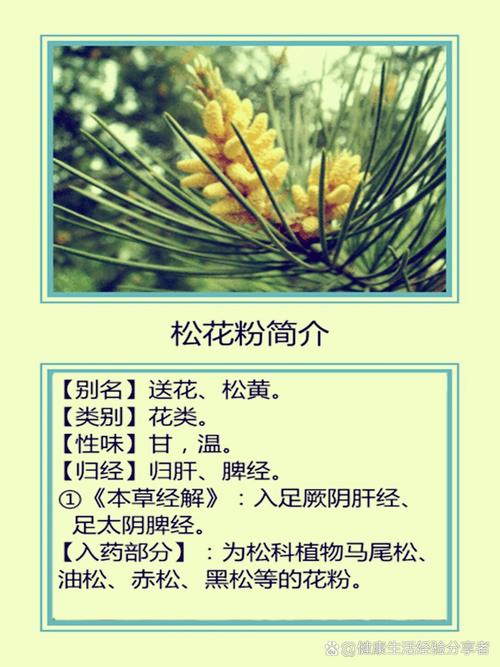 痛风可以吃松花粉吗