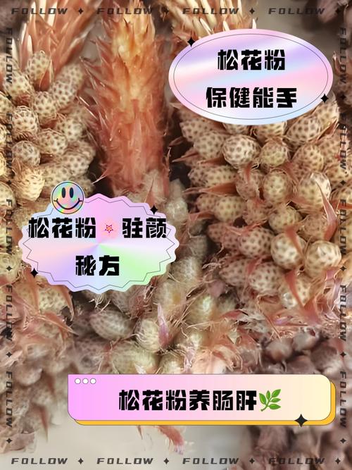 痛风可以吃松花粉吗