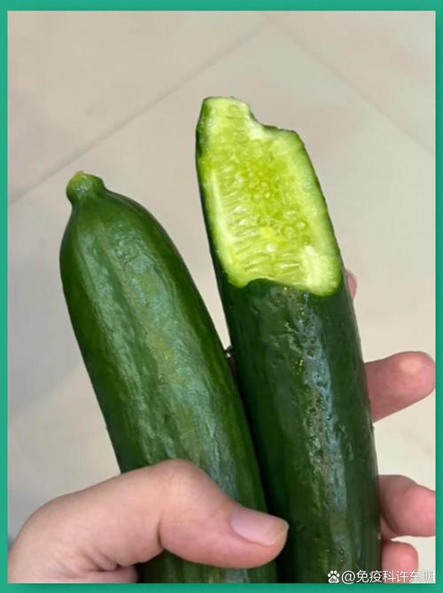 痛风可以吃糯米粉吗