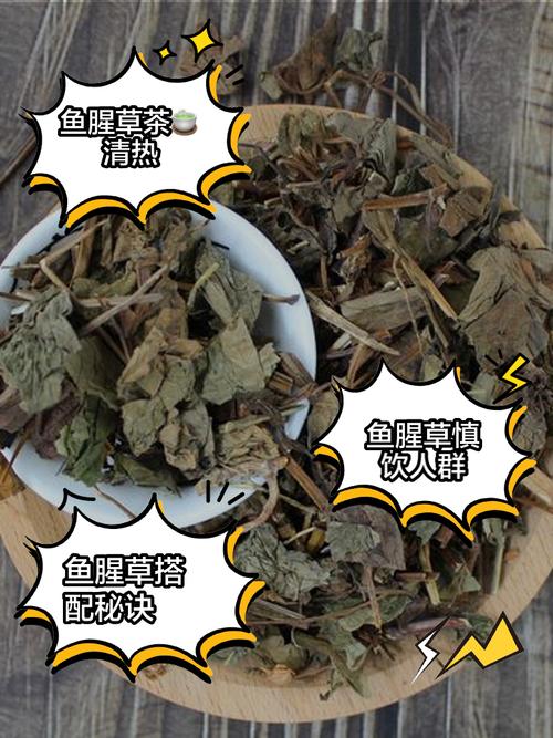 鱼腥草能治疗痛风吗