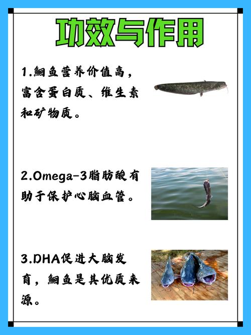 痛风病人能吃扁鱼吗