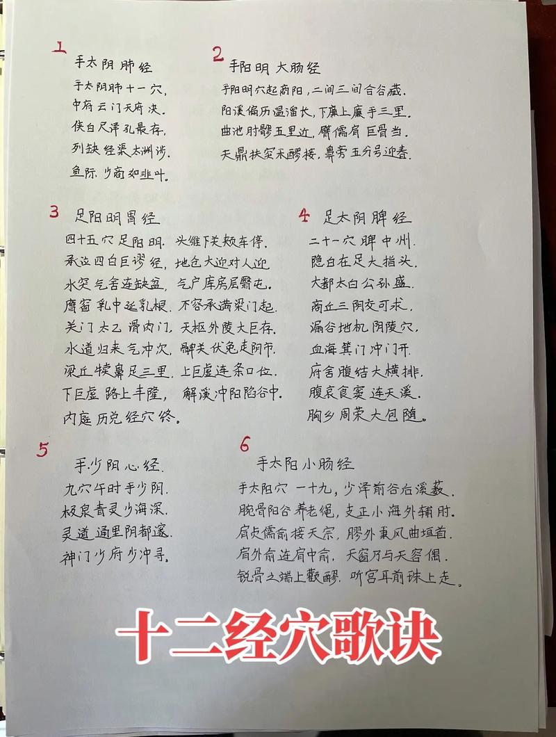 中医针灸歌诀mp3