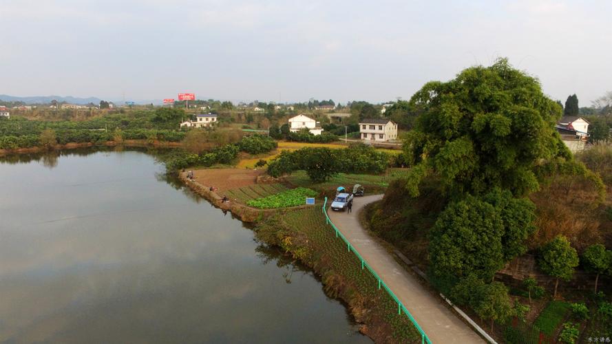 东升鸡笼桥小姐安全吗