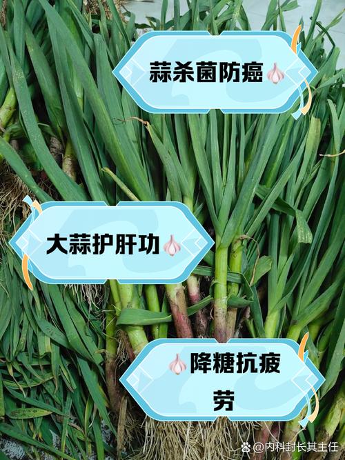 尿酸高痛风能吃蒜吗