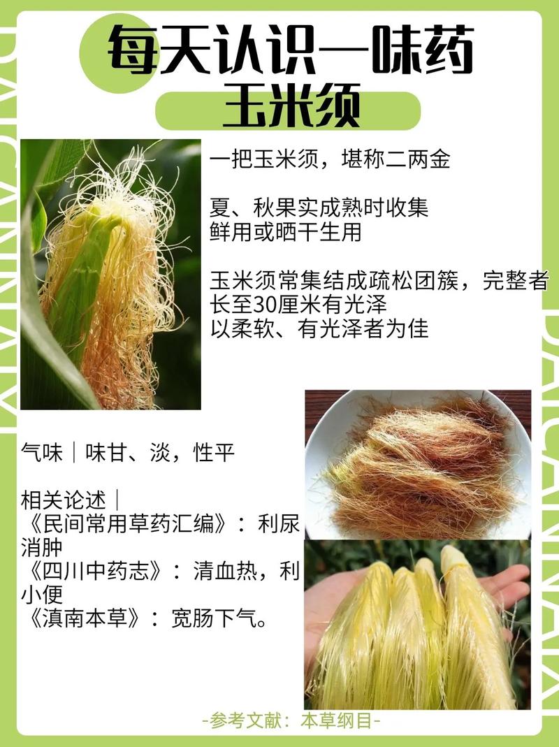 痛风喝玉米须煮水吗