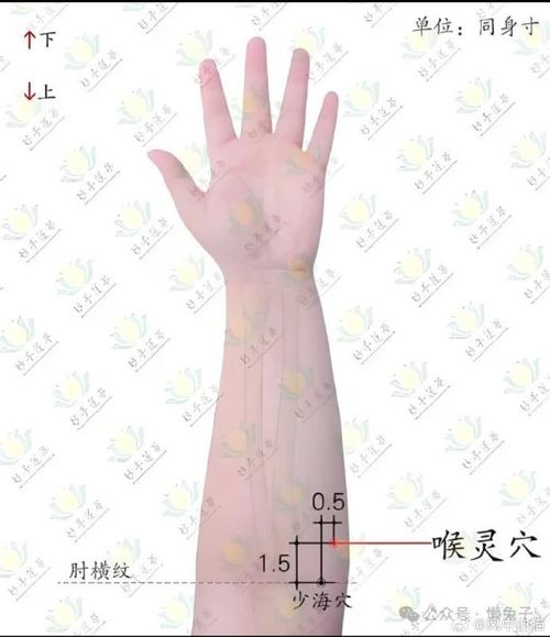 特发性震颤针灸穴位
