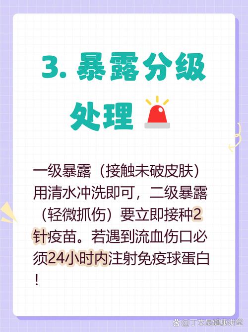 打狂犬疫苗多久才安全