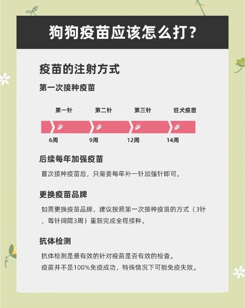 打狂犬疫苗多久才安全