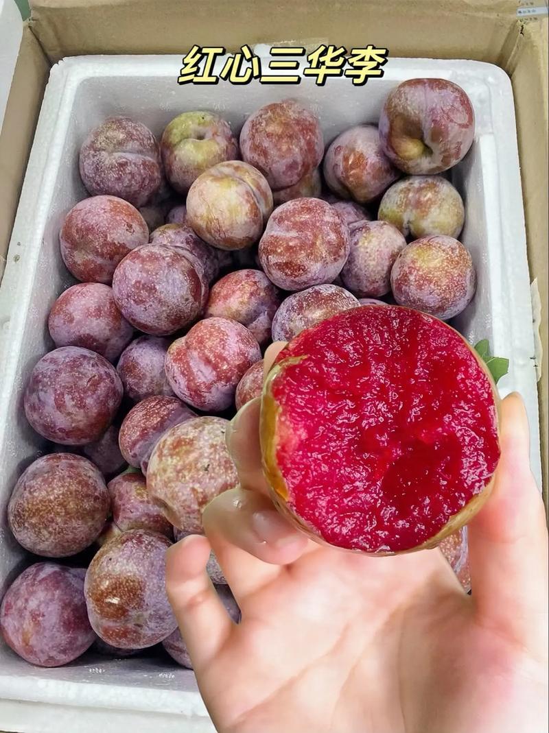 痛风可以吃三华梨吗