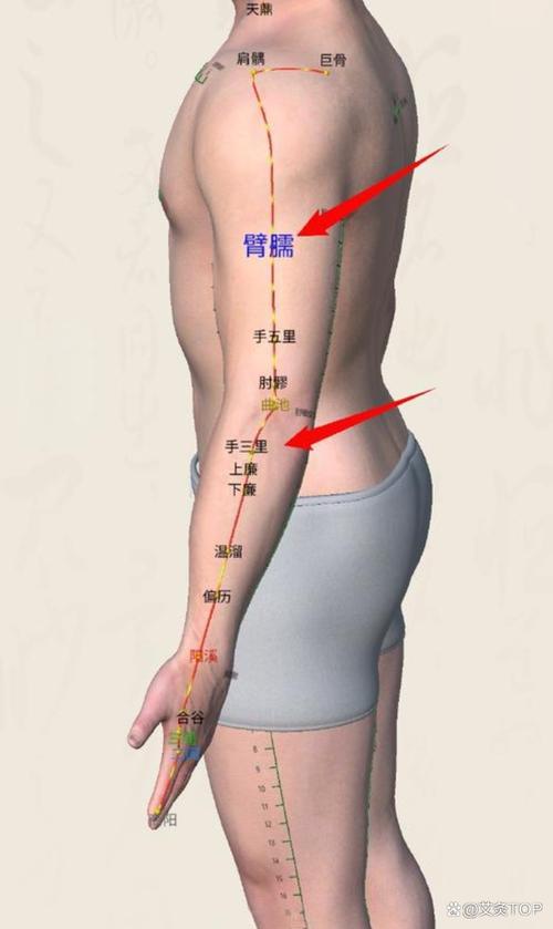 甲状腺功能减退针灸