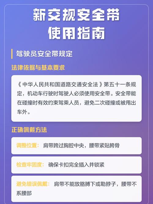 2026新交规安全带