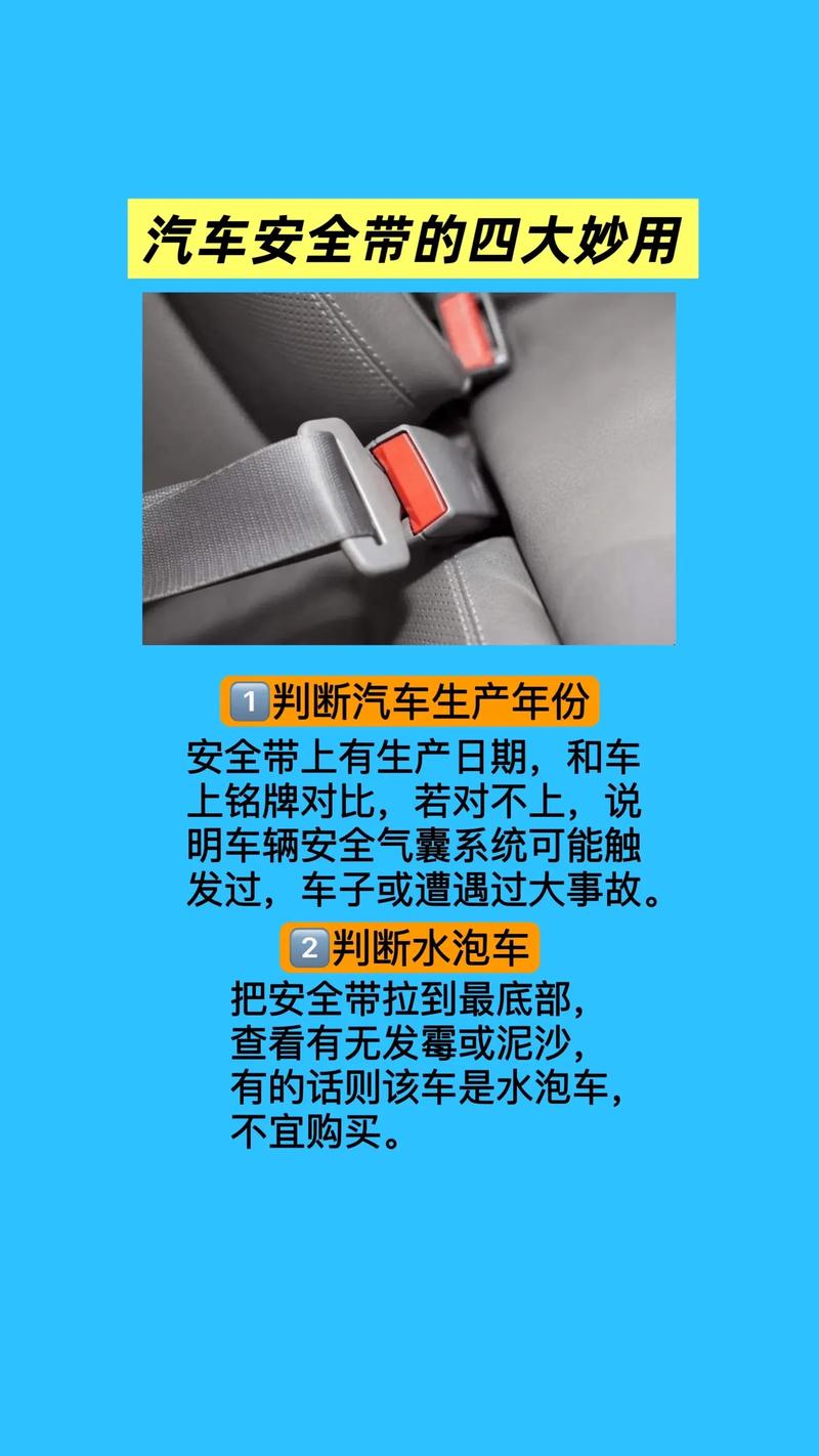 2026新交规安全带