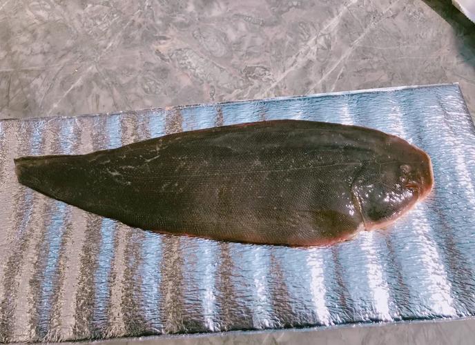 痛风可以吃龙利鱼么