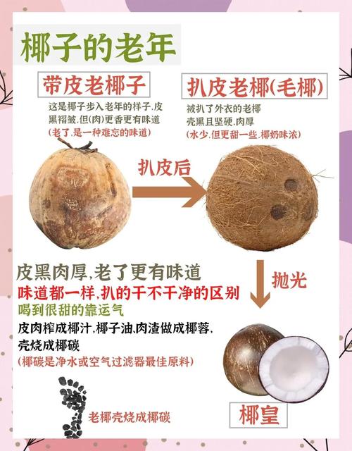 椰青对痛风有好处吗