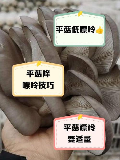 痛风病人能吃平菇吗