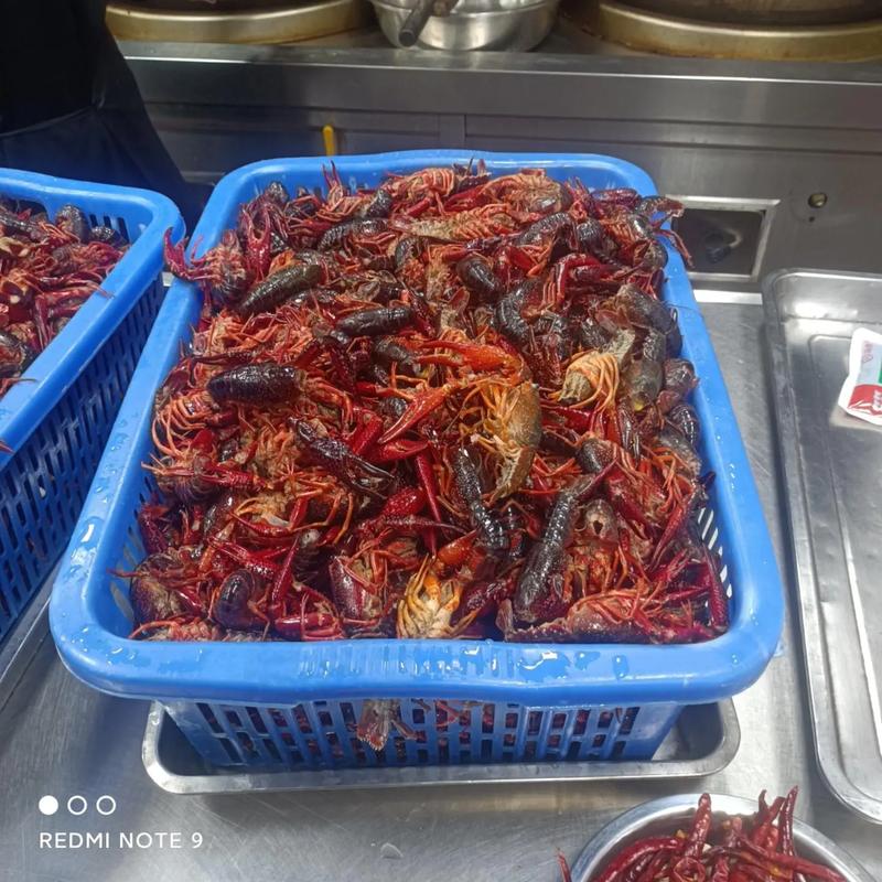 痛风能吃麻辣小龙虾