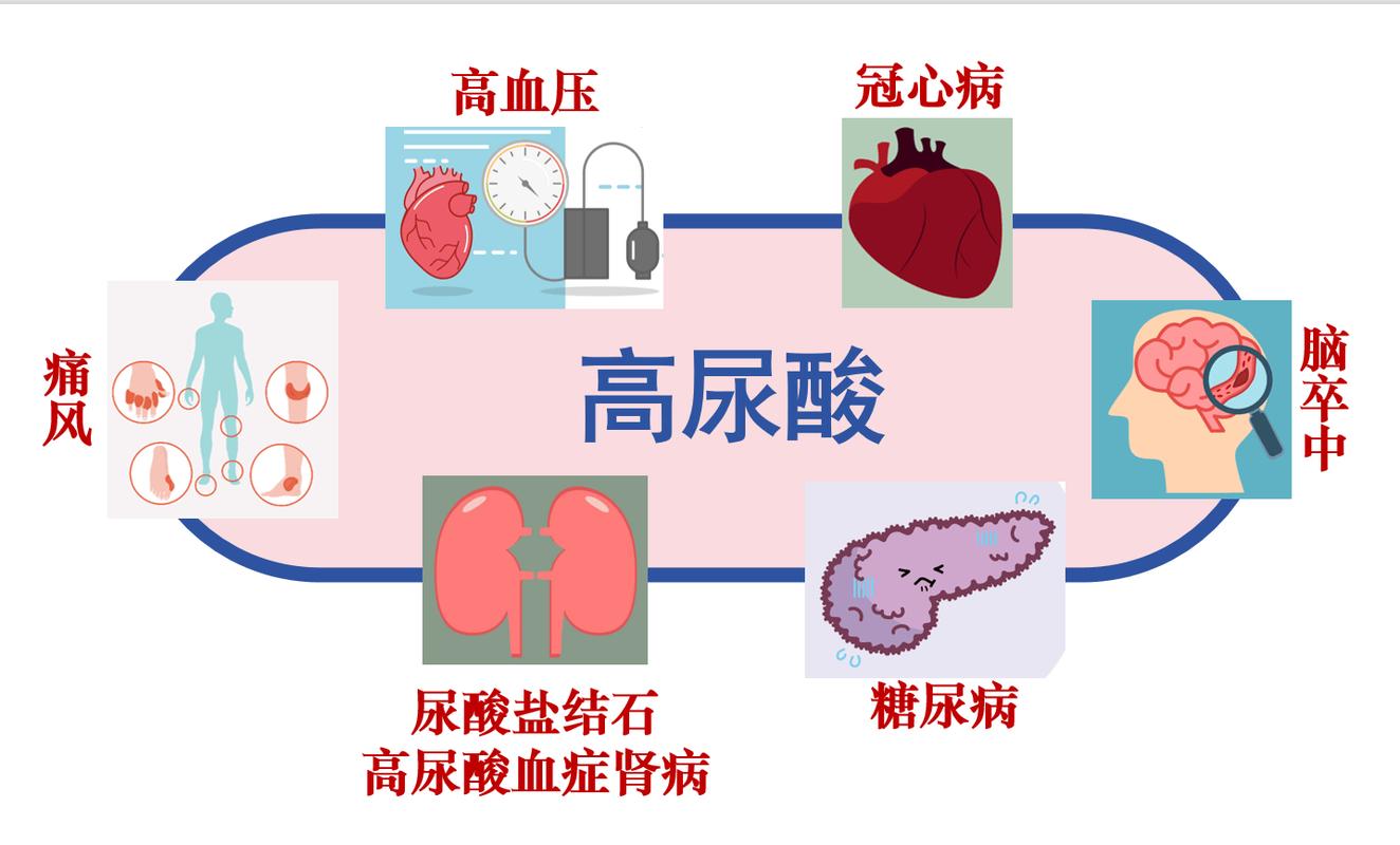 痛风病人肾有问题吗