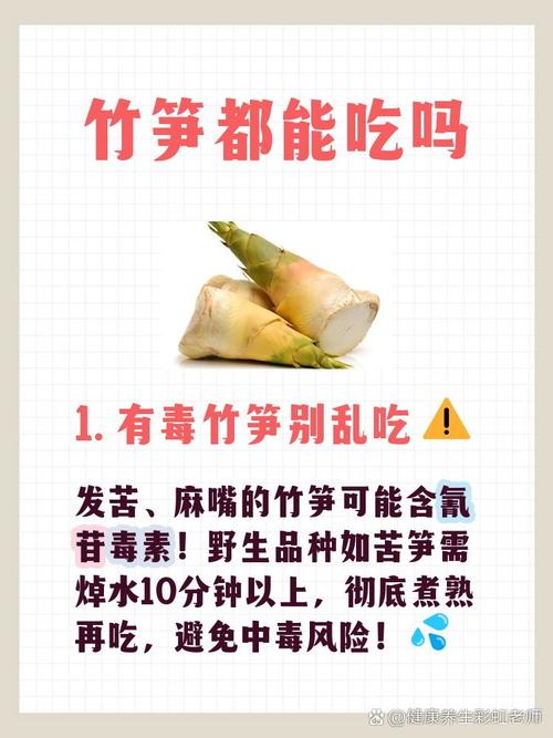 痛风的人能吃舂笋吗