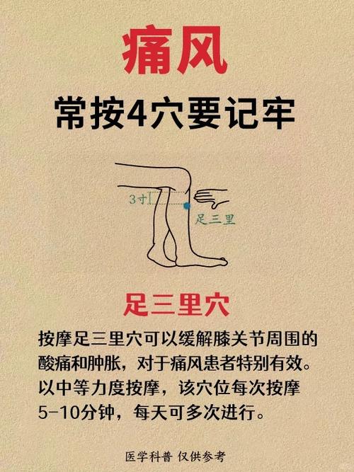 痛风用中医怎么治疗