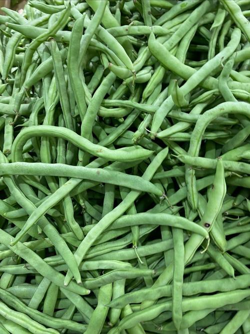 痛风病人能吃啥豆角