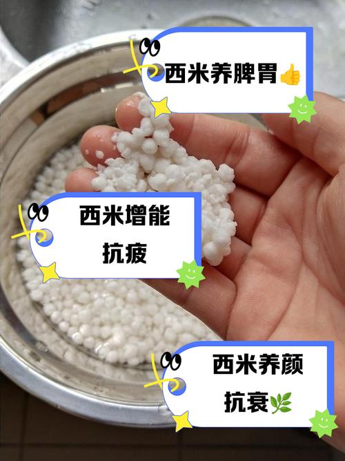 痛风患者能吃西米吗