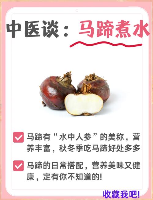 痛风可以吃马蹄粉吗