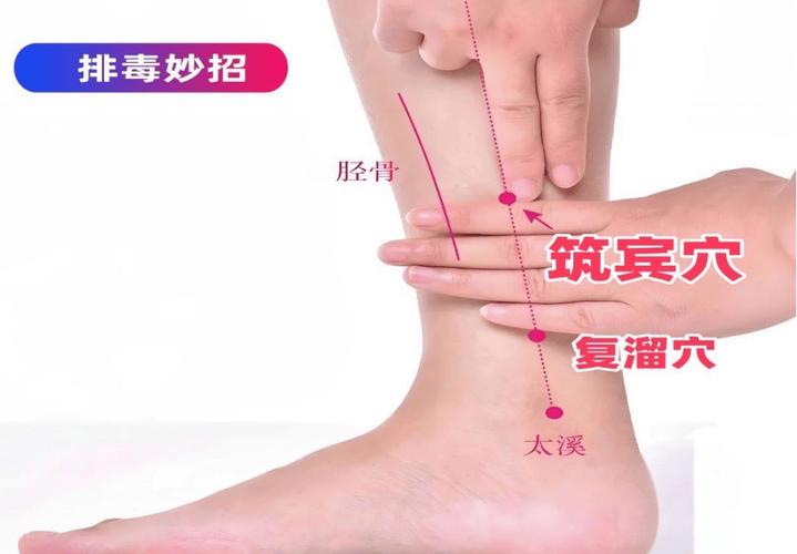 湿气重针灸什么穴位