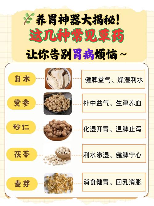 胃病针灸好还是中药