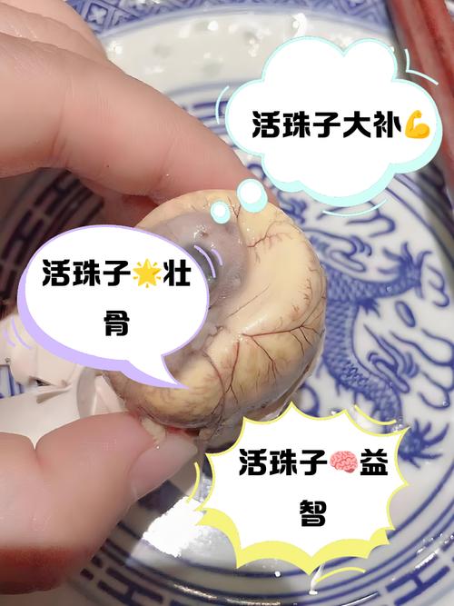 痛风可以吃活珠子吗