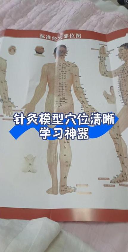 北京学针灸哪里最好