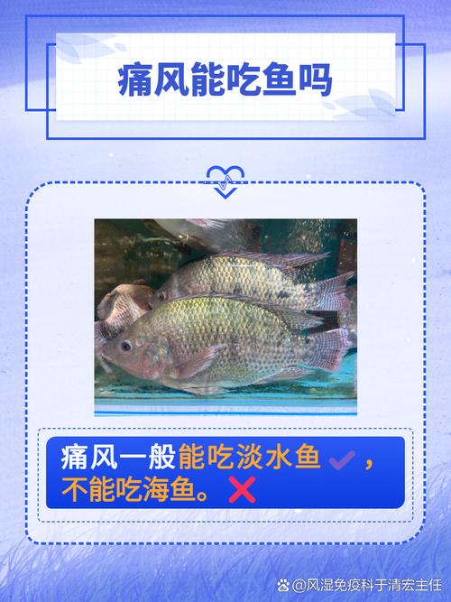 痛风病人能吃鲤鱼吗