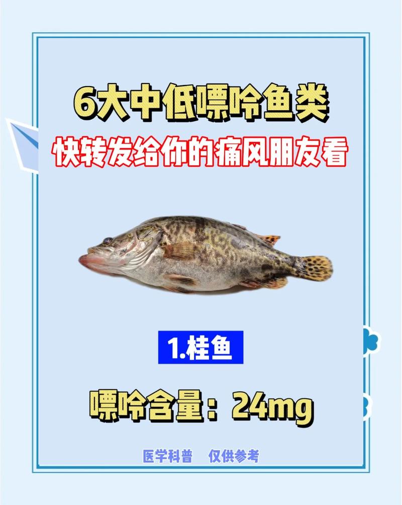 痛风病人能吃鲤鱼吗