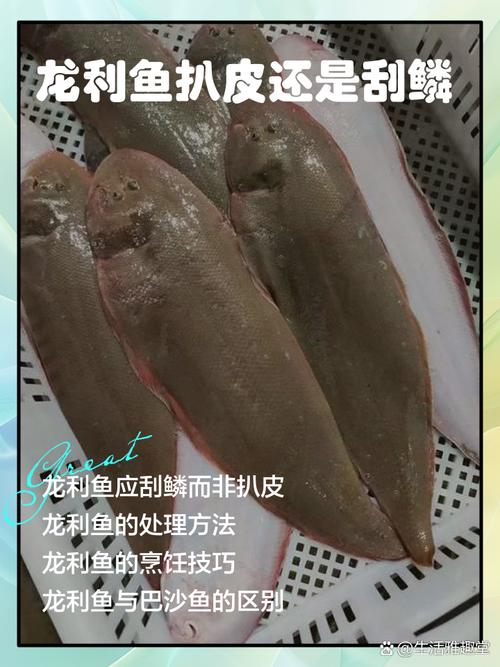痛风可以吃剥皮鱼吗