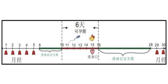 安全期是不是前七后八