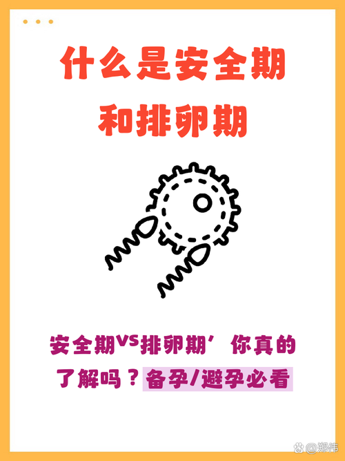 什么叫排卵期和安全期
