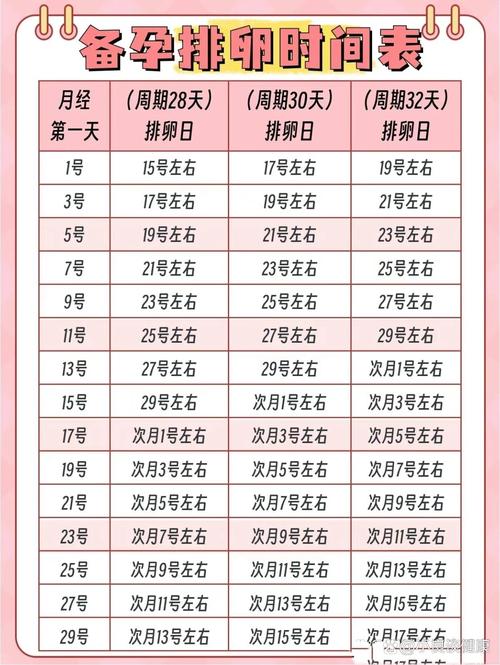 什么叫排卵期和安全期