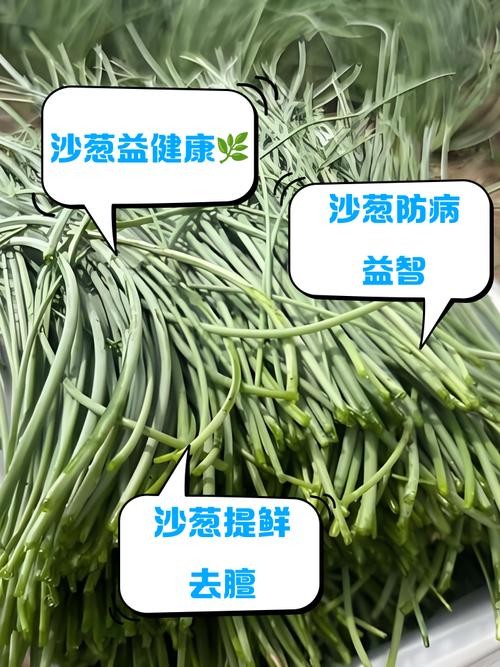 痛风吃大葱有影响吗