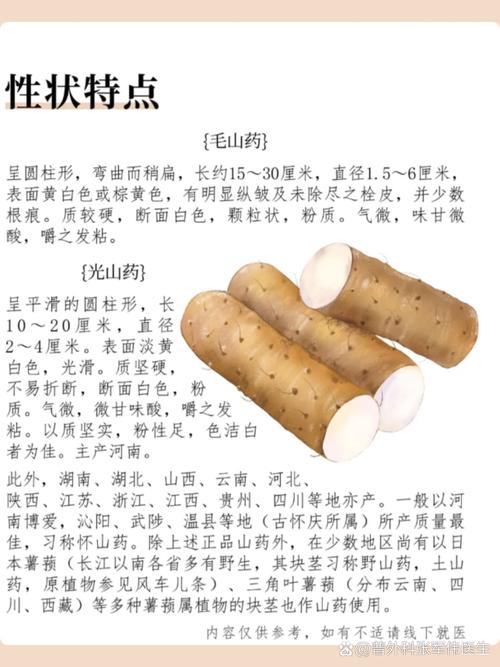 痛风病人能吃山药么